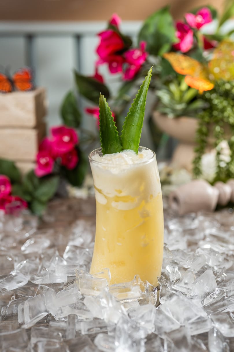 A yellow tropical drink with aloe vera garnishes sits on ice cubes, surrounded by pink flowers.
